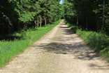 Ez az út valaha a Bialowieza uradalom egyik nagyobb tavához vezetett; ma már a fehérorosz határ vágja ketté, így egyszerû erdészeti út lett belõle