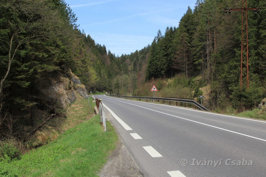 Korytnica